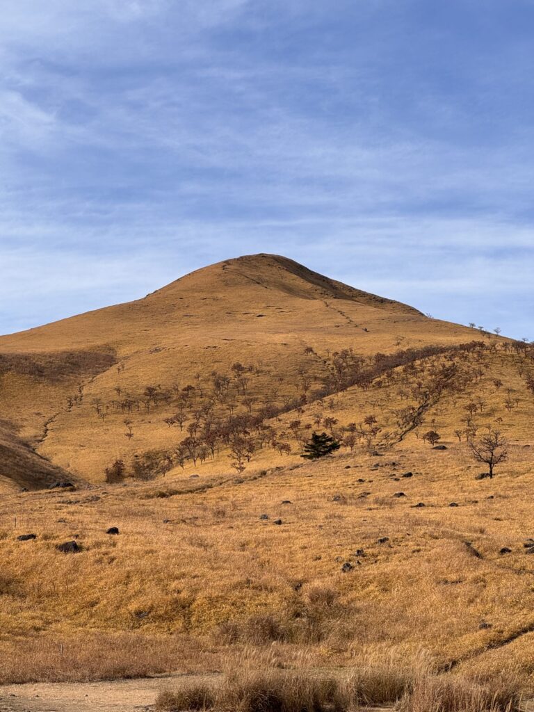 Golden Hills of Yufuin, Japan — Rolling slopes covered in golden grass under a clear blue sky.