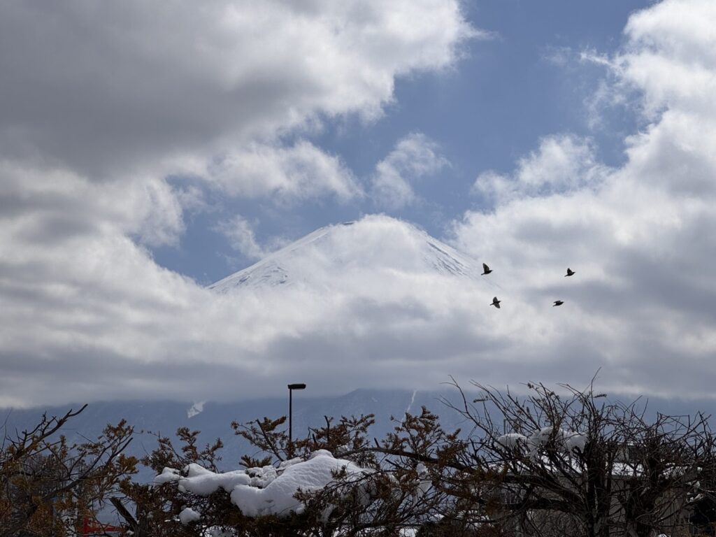 A beautiful view of Mount Fuji partially covered by clouds, with birds flying in the sky and trees in the foreground.