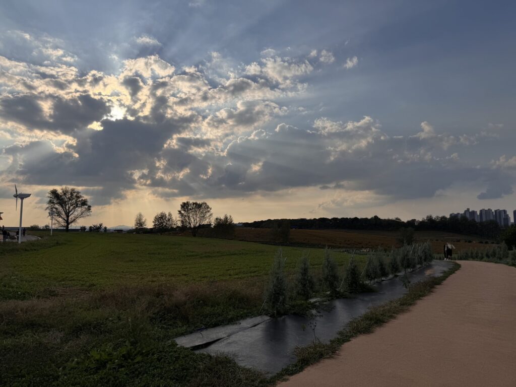 A peaceful landscape with fields and tall trees along the path, set against a dramatic sky with rays of sunlight piercing through the clouds.