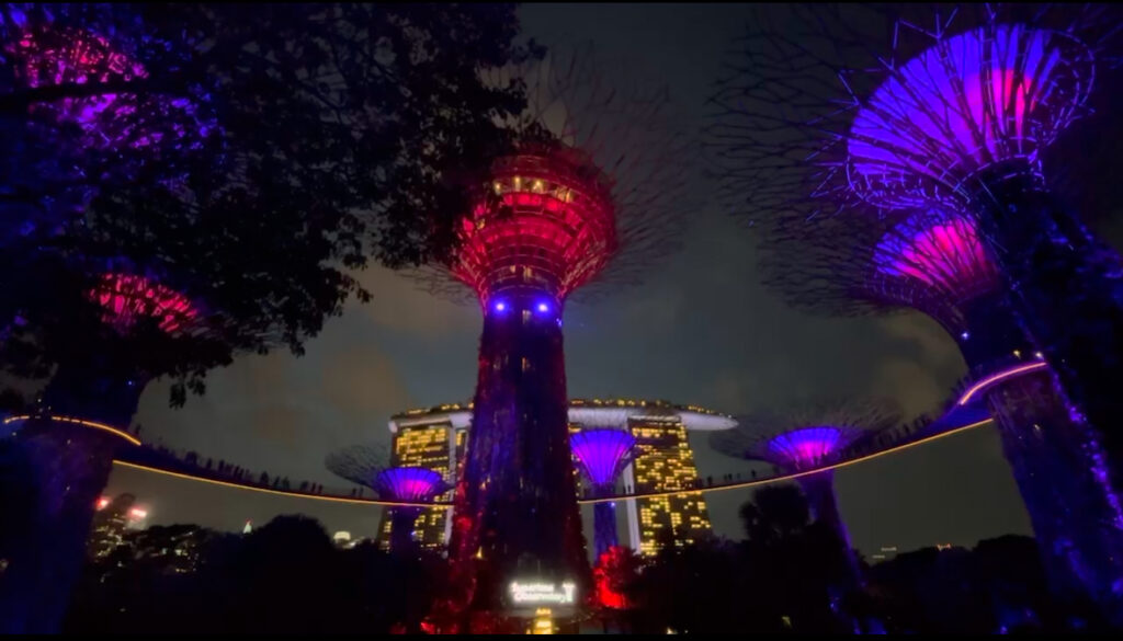 The Supertree Grove in Gardens by the Bay, Singapore, lit up with vibrant purple and red lights against the night sky, with Marina Bay Sands visible in the background.