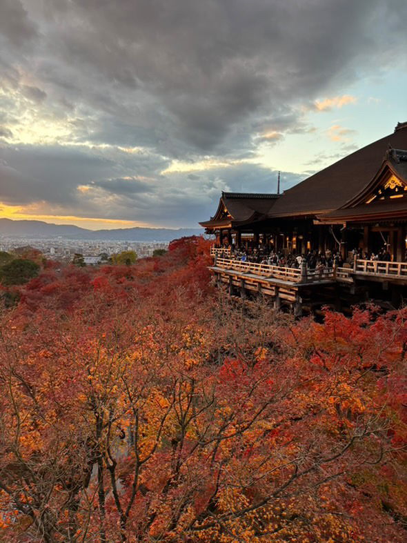 Kiyomizu-dera Temple in Kyoto surrounded by vibrant autumn foliage at sunset
