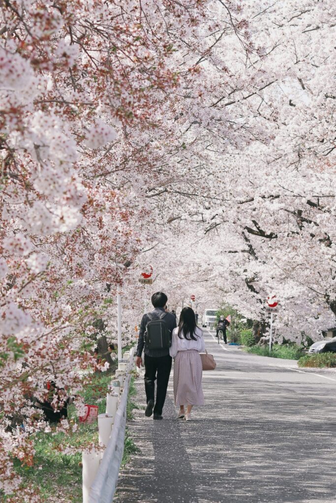 Sakura Street Walk, Japan โ A couple wanders under arching white cherry blossoms in serene harmony.