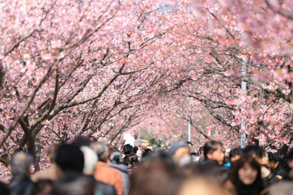 kazuend xrwde7dndbg unsplash