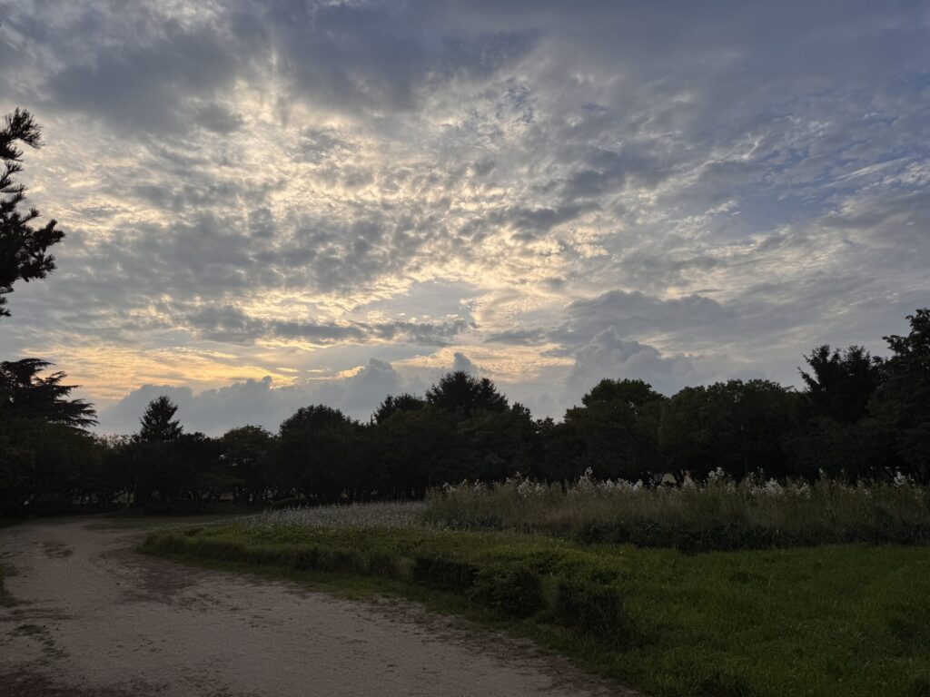 EN: Cloudy sky above green path at Ttukseom Park  KR: 뚝섬한강공원 초록길과 흐린 하늘