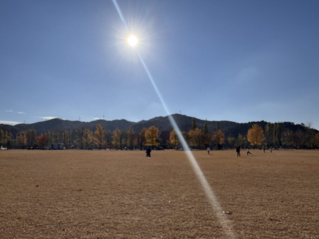 EN: "Wide open field at Gangcheon Island with the autumn sun shining over distant mountains."  KR: "여주 강천섬의 넓은 들판 위로 가을 햇살이 비치고 산이 배경을 이루는 풍경."
